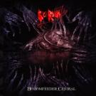 SICK ROOM 7 - Bottomfeeder Central